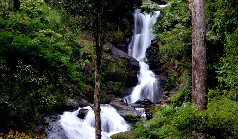 Coorg